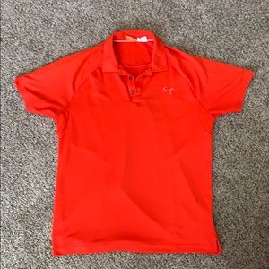 Puma polo